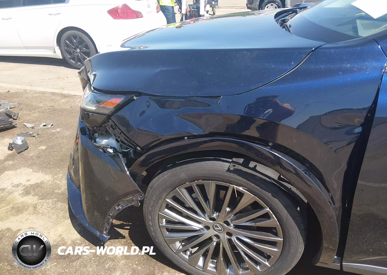 2023 Lexus Rx 350 Luxury VIN:2T2BAMBA3PC006034 - 19