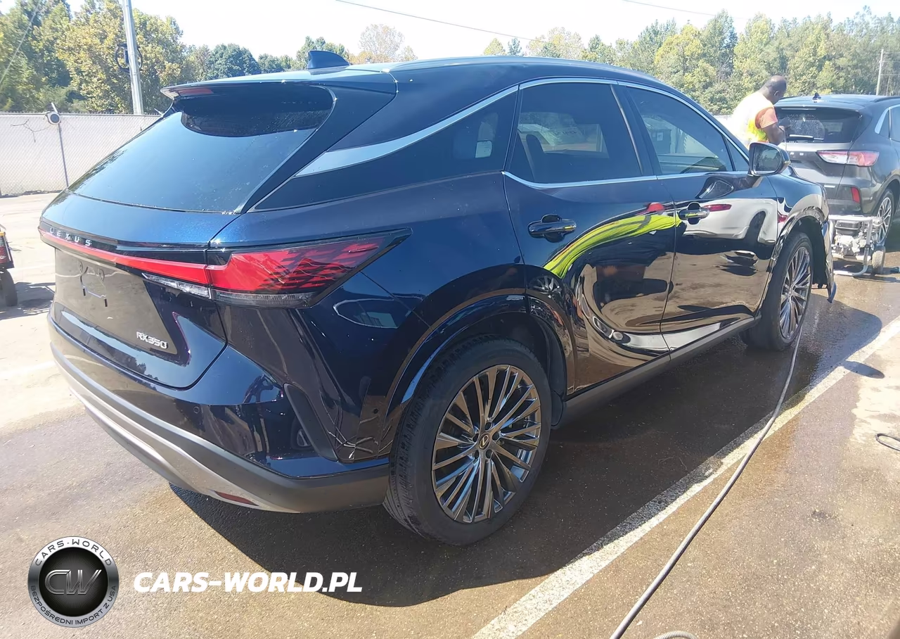 2023 Lexus Rx 350 Luxury VIN:2T2BAMBA3PC006034 - 4