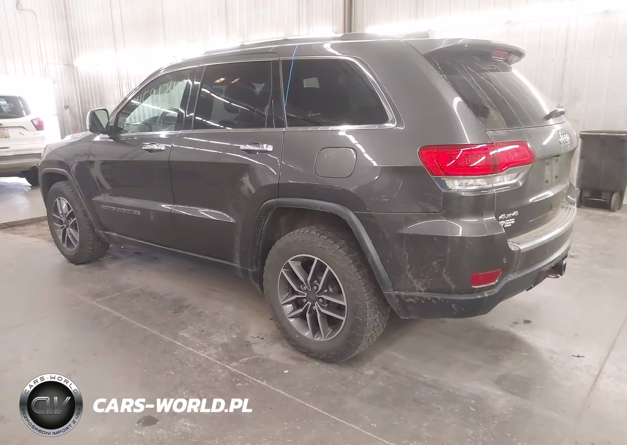 2019 Jeep Grand Cherokee Limited 4X4 VIN:1C4RJFBG2KC813861 - 3