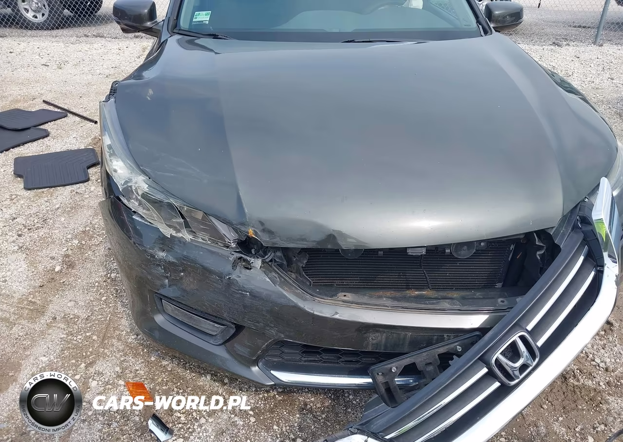 2014 Honda Accord Ex VIN:1HGCR2F78EA244016 - 6