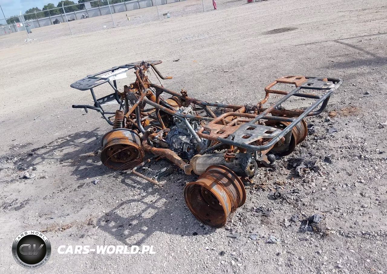 2025 Honda Trx420 Fm VIN:1HFTE400XSJ104133 - 3