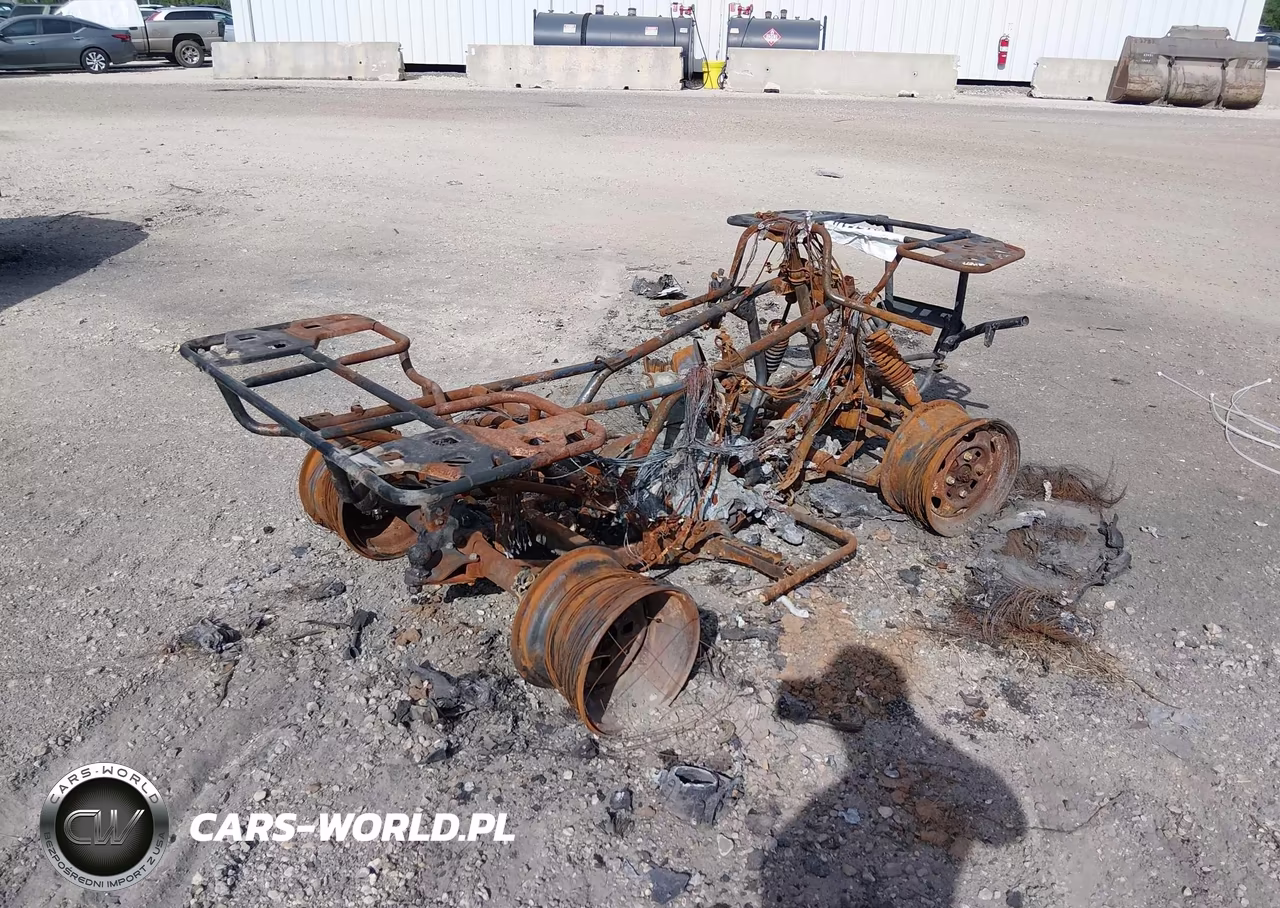 2025 Honda Trx420 Fm VIN:1HFTE400XSJ104133 - 4