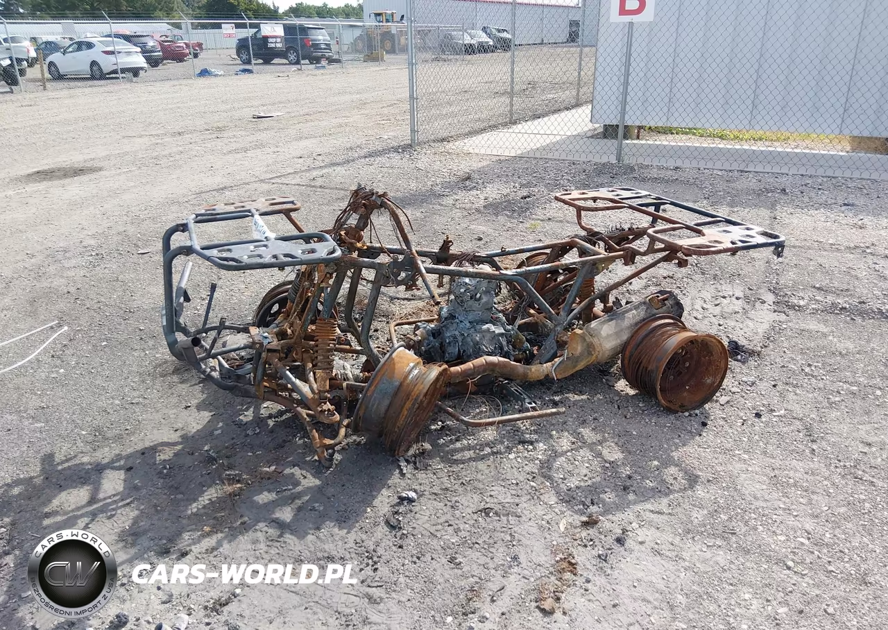 2025 Honda Trx420 Fm VIN:1HFTE400XSJ104133 - 6
