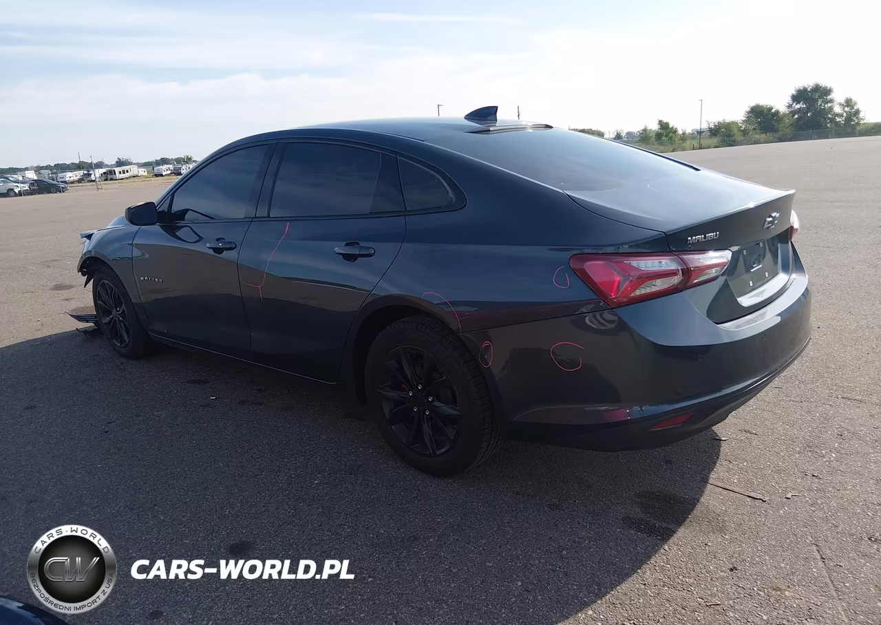 2019 Chevrolet Malibu Lt VIN:1G1ZD5ST8KF145408 - 3