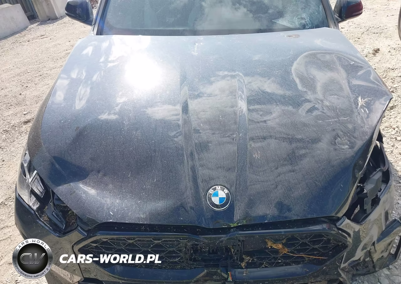 2025 BMW X2 xDrive28I VIN:WBX63GM07S5097968 - 10
