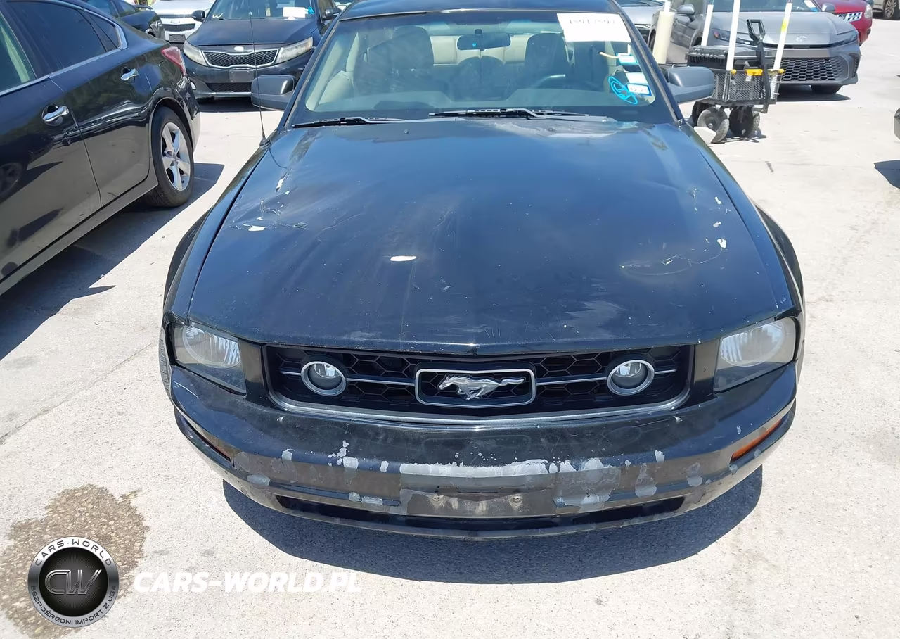 2007 Ford Mustang V6 Deluxe-V6 Premium VIN:1ZVFT80N175357371 - 6