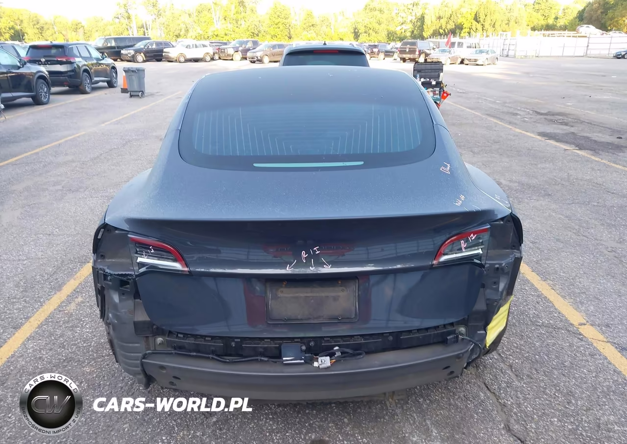 2020 Tesla Model 3 Performance Dual Motor All-Wheel Drive VIN:5YJ3E1ECXLF603390 - 16