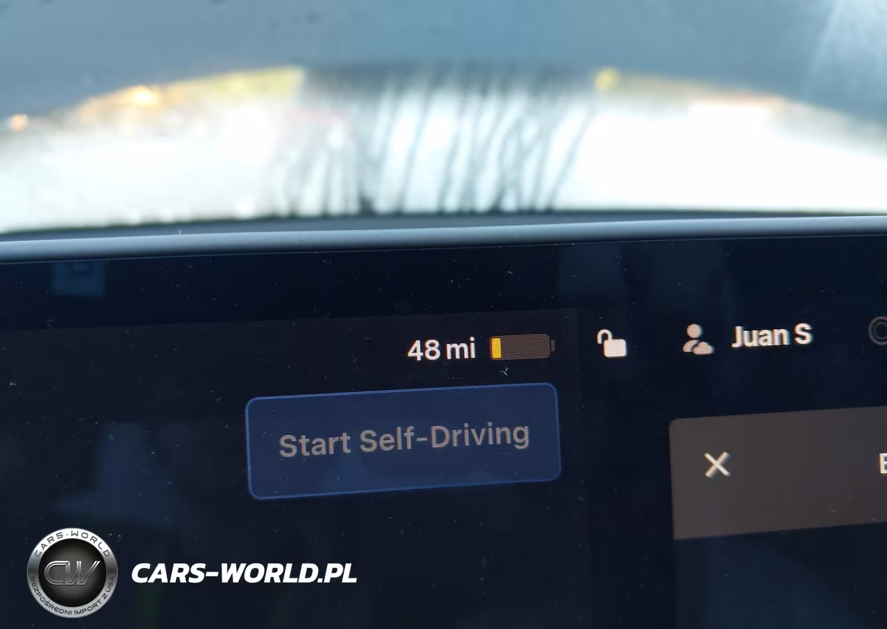 2020 Tesla Model 3 Performance Dual Motor All-Wheel Drive VIN:5YJ3E1ECXLF603390 - 17