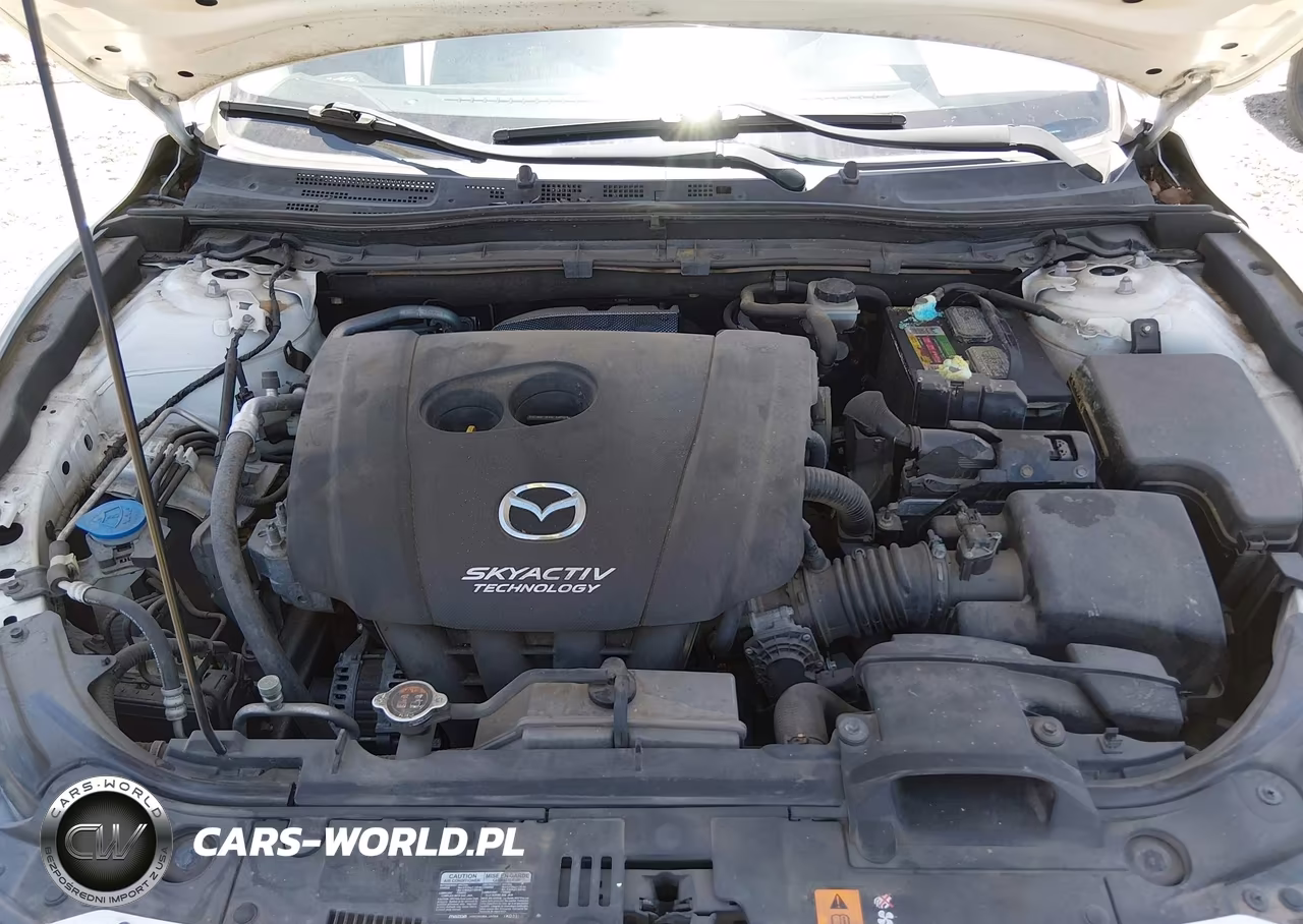 2014 Mazda Mazda3 I Touring VIN:JM1BM1L74E1129291 - 10