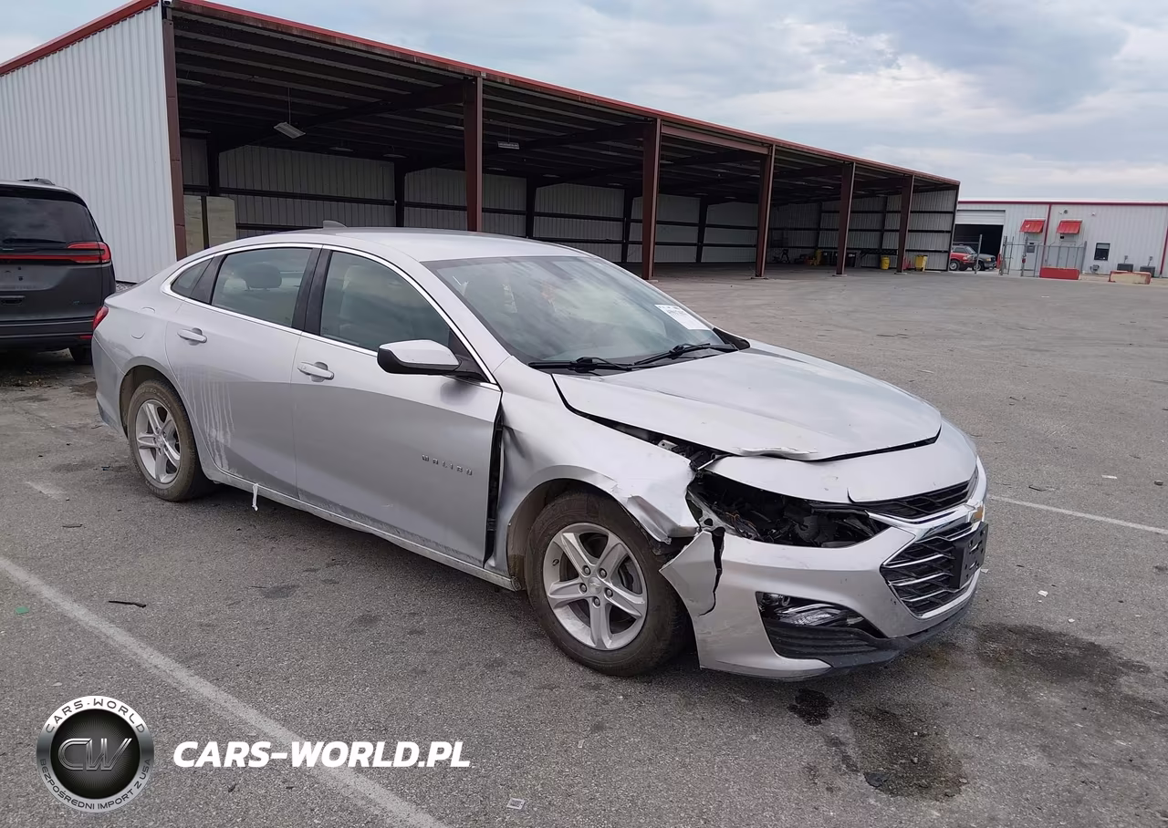 2019 Chevrolet Malibu 1Fl