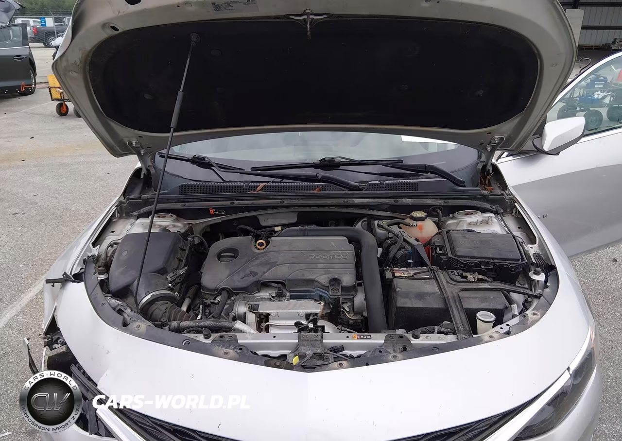 2019 Chevrolet Malibu 1Fl VIN:1G1ZC5STXKF217180 - 10