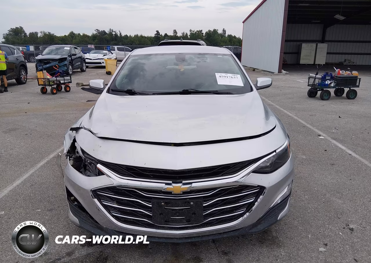2019 Chevrolet Malibu 1Fl VIN:1G1ZC5STXKF217180 - 12