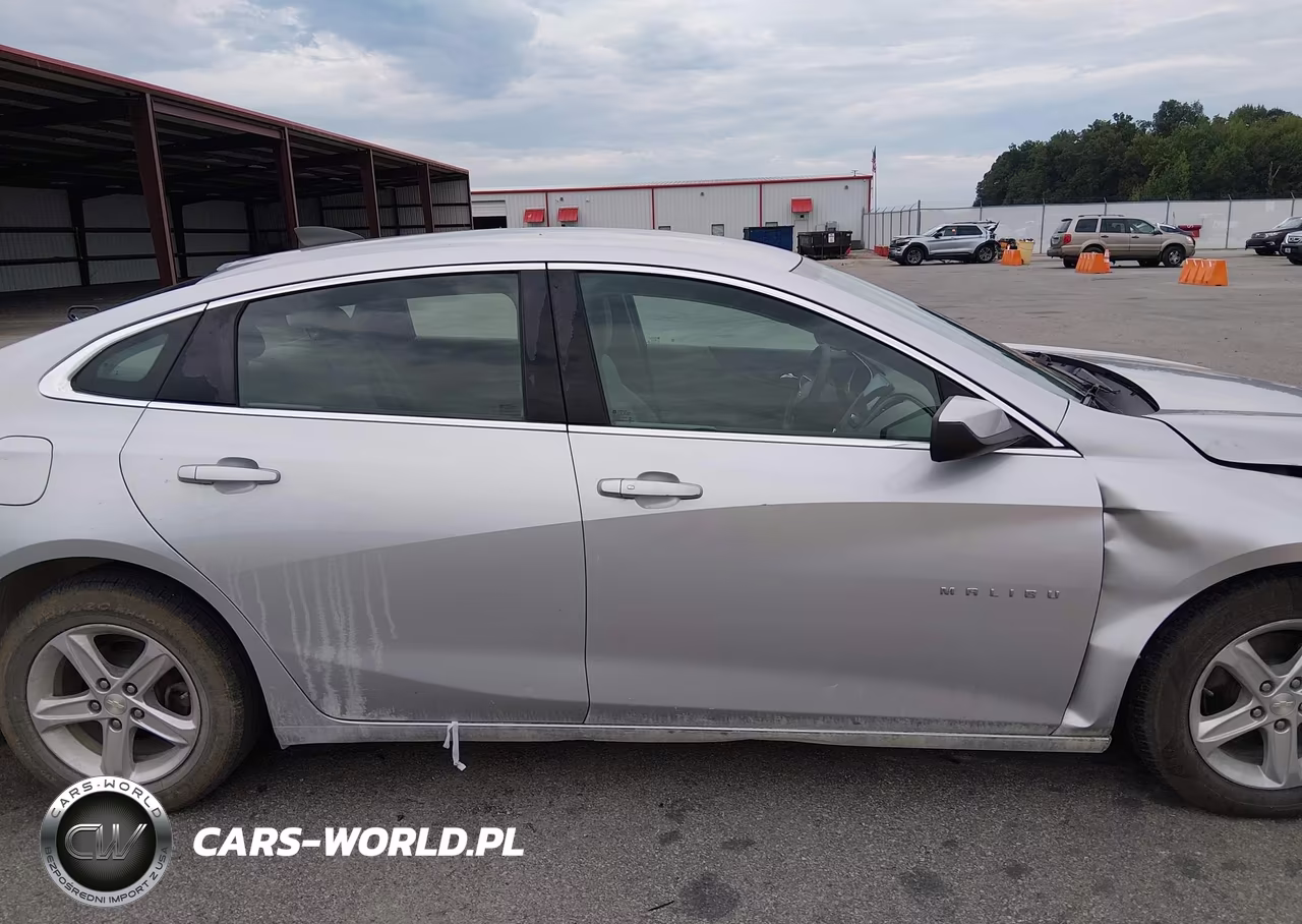 2019 Chevrolet Malibu 1Fl VIN:1G1ZC5STXKF217180 - 13