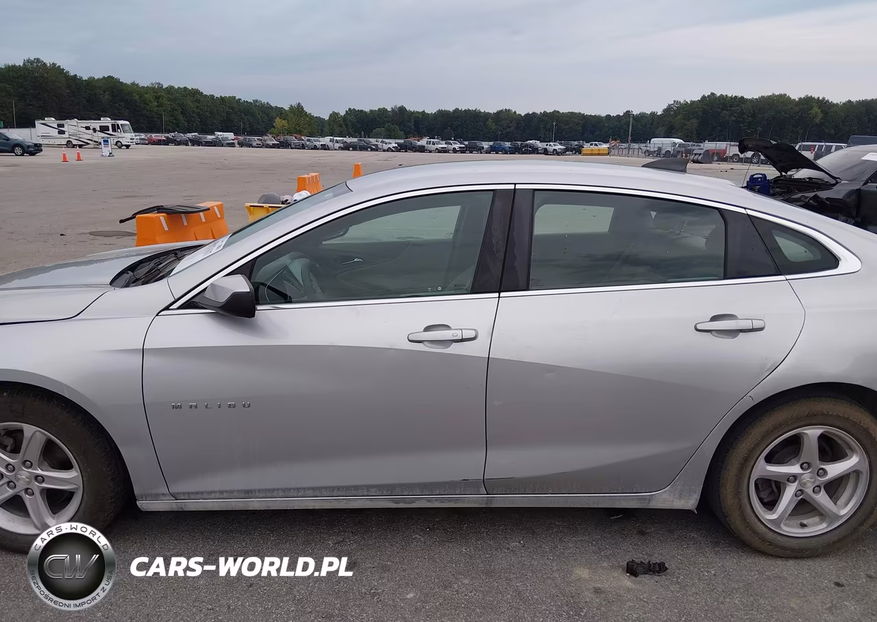 2019 Chevrolet Malibu 1Fl VIN:1G1ZC5STXKF217180 - 14