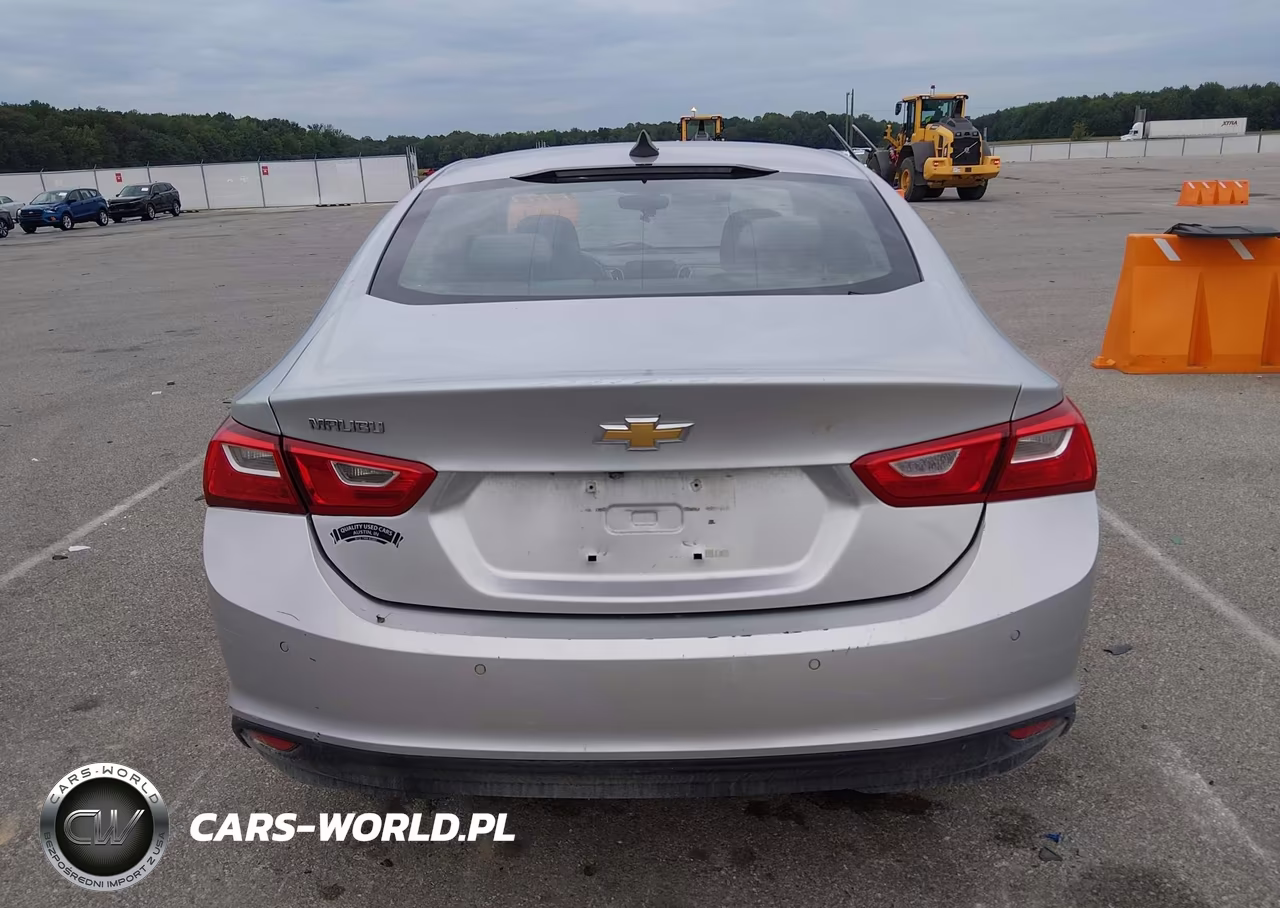 2019 Chevrolet Malibu 1Fl VIN:1G1ZC5STXKF217180 - 16