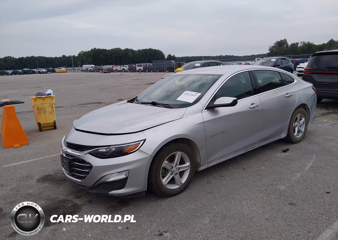 2019 Chevrolet Malibu 1Fl VIN:1G1ZC5STXKF217180 - 2
