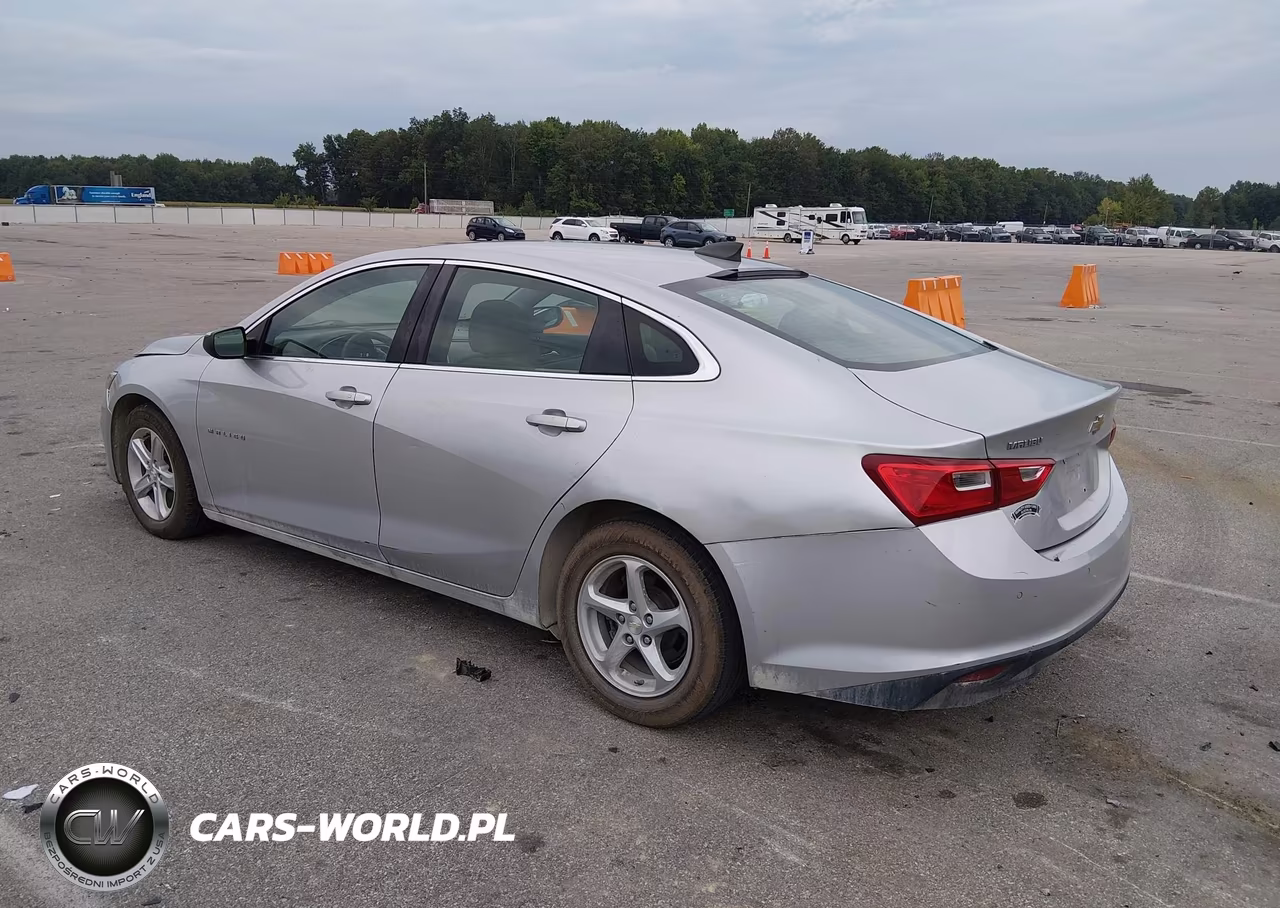 2019 Chevrolet Malibu 1Fl VIN:1G1ZC5STXKF217180 - 3