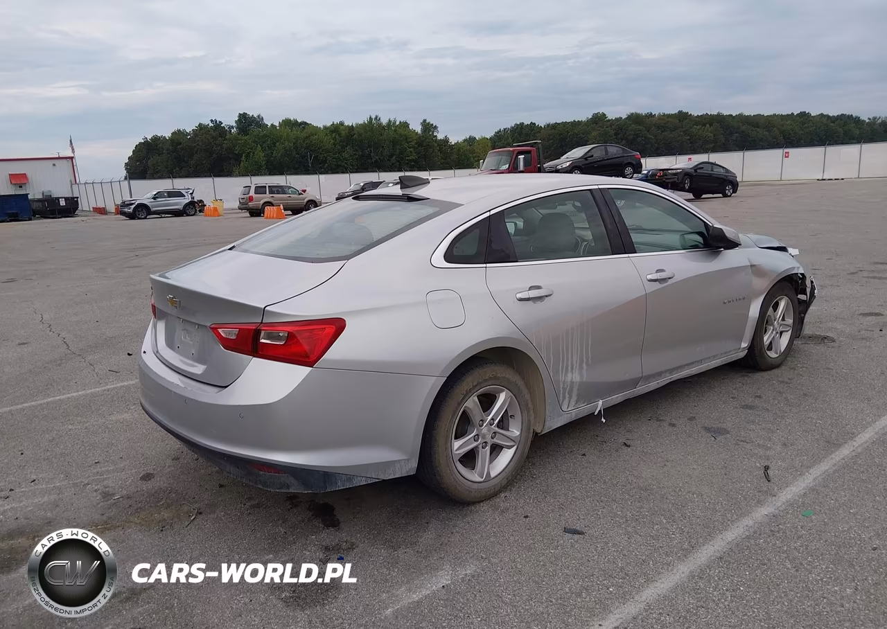 2019 Chevrolet Malibu 1Fl VIN:1G1ZC5STXKF217180 - 4