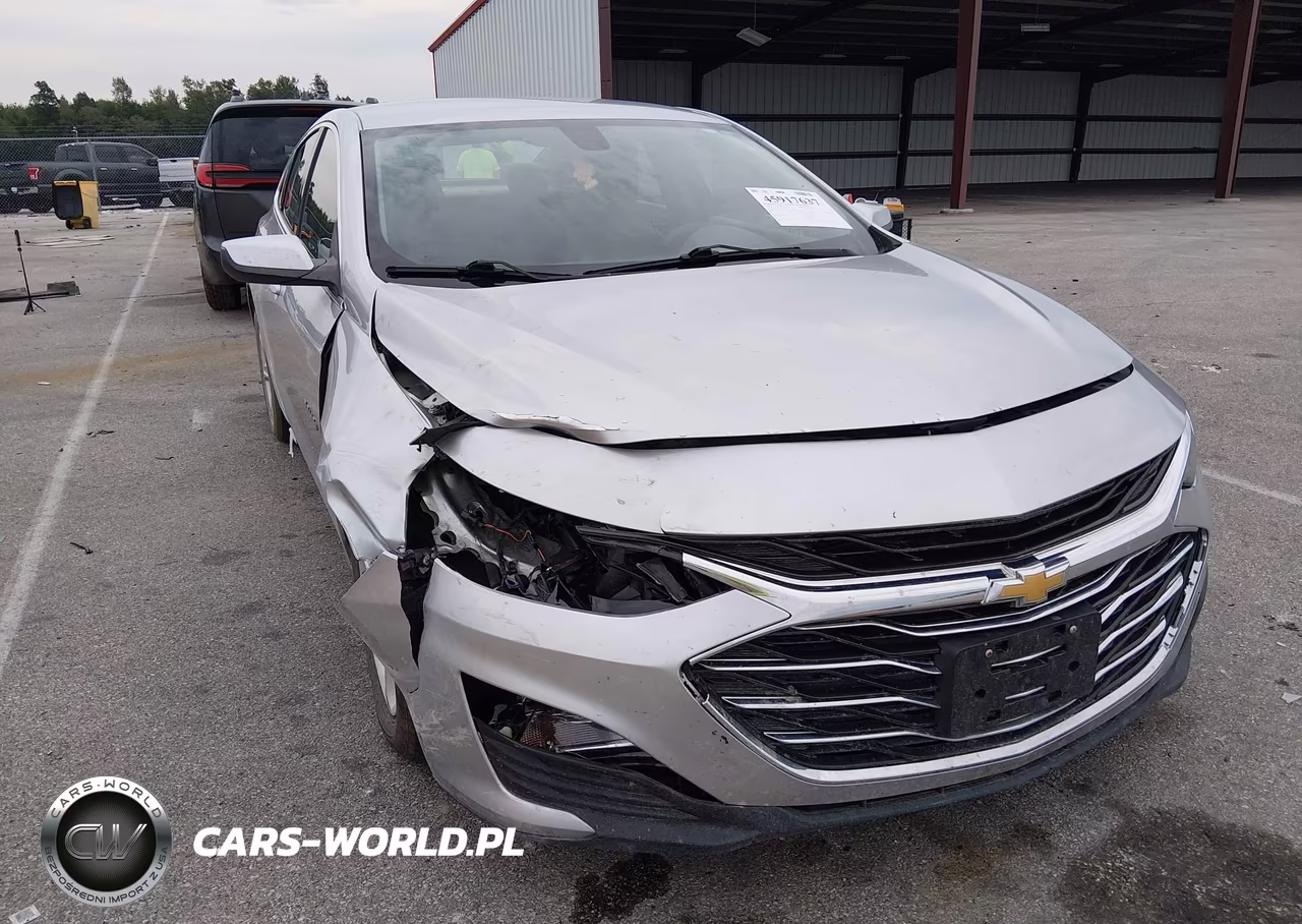 2019 Chevrolet Malibu 1Fl VIN:1G1ZC5STXKF217180 - 6