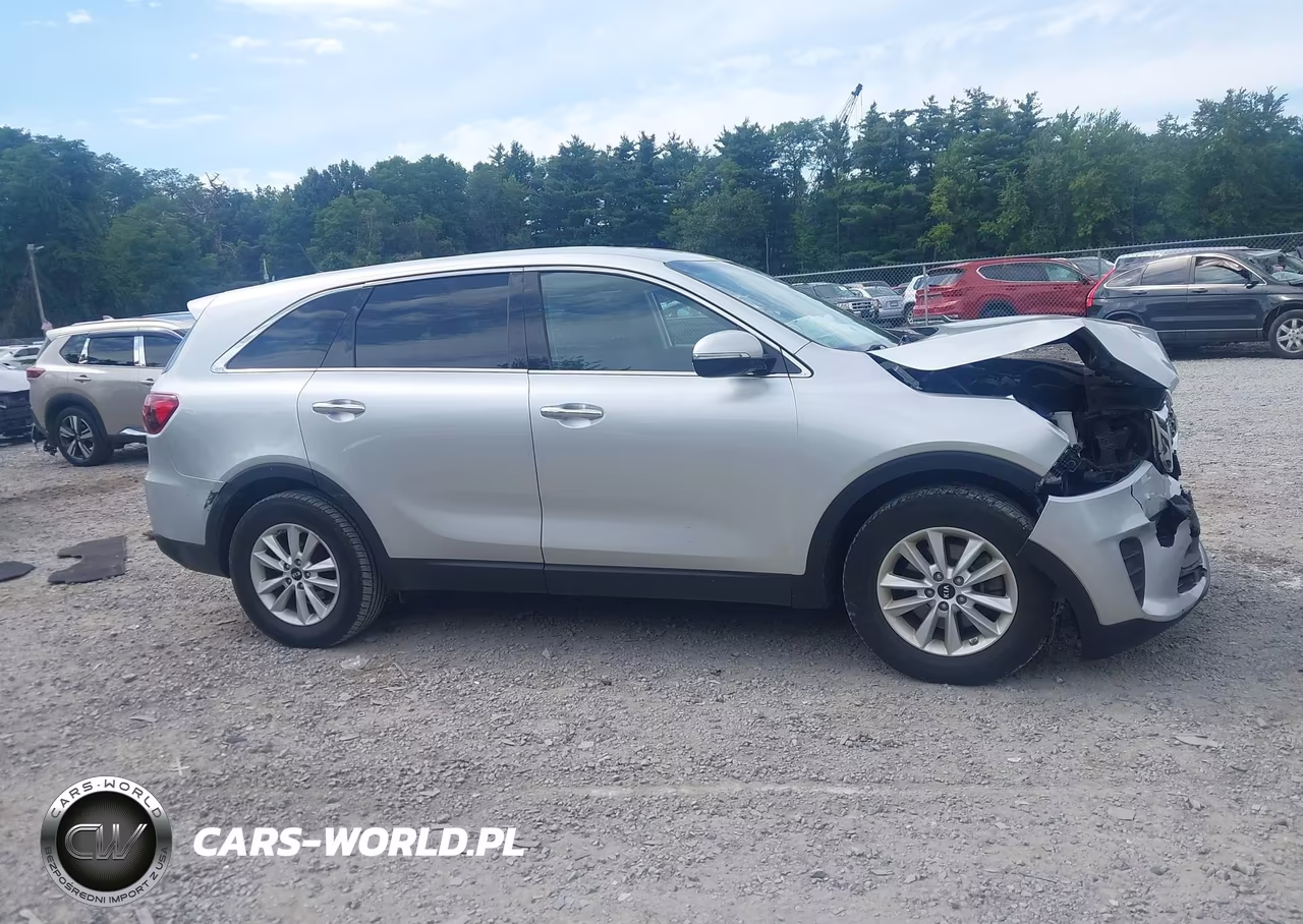 2020 Kia Sorento 2.4L Lx VIN:5XYPG4A39LG653127 - 13