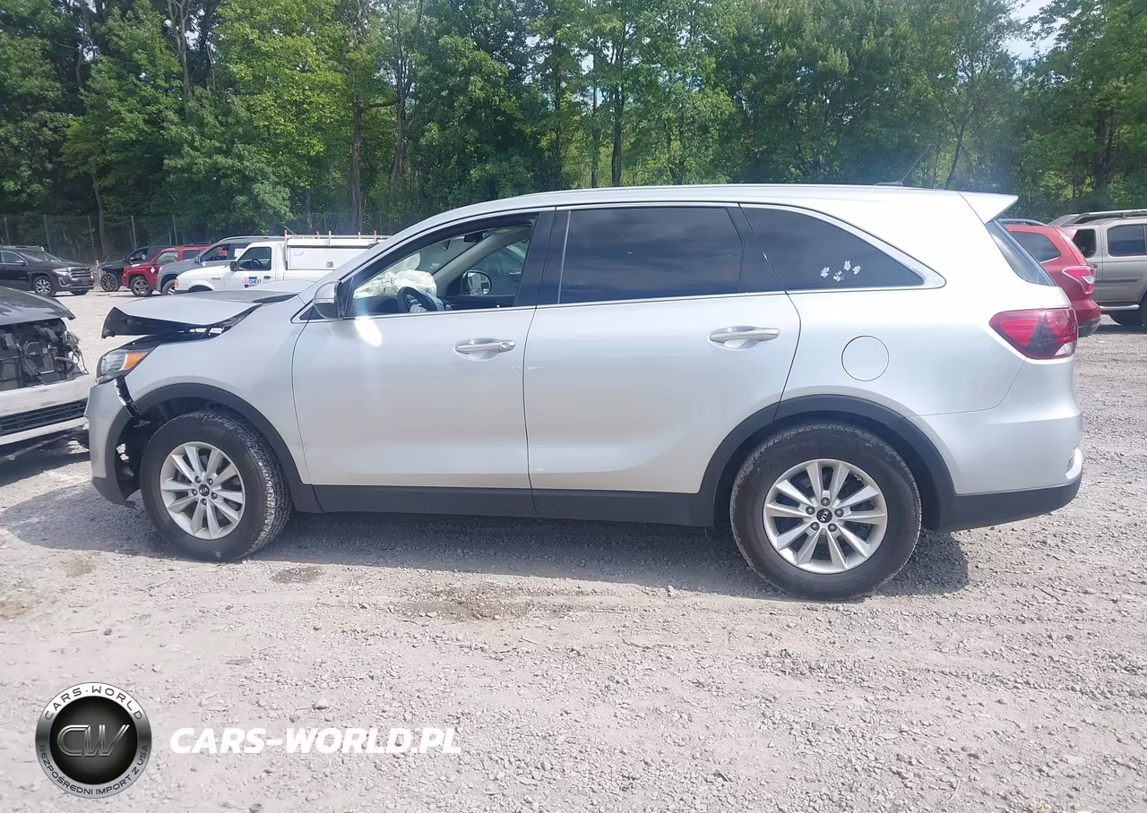 2020 Kia Sorento 2.4L Lx VIN:5XYPG4A39LG653127 - 14