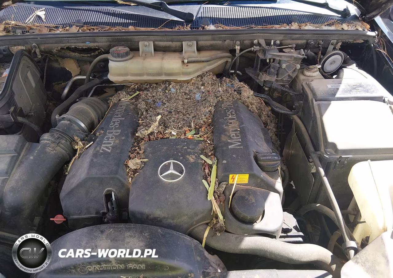 1999 Mercedes-Benz Ml 320 VIN:4JGAB54E1XA063707 - 10