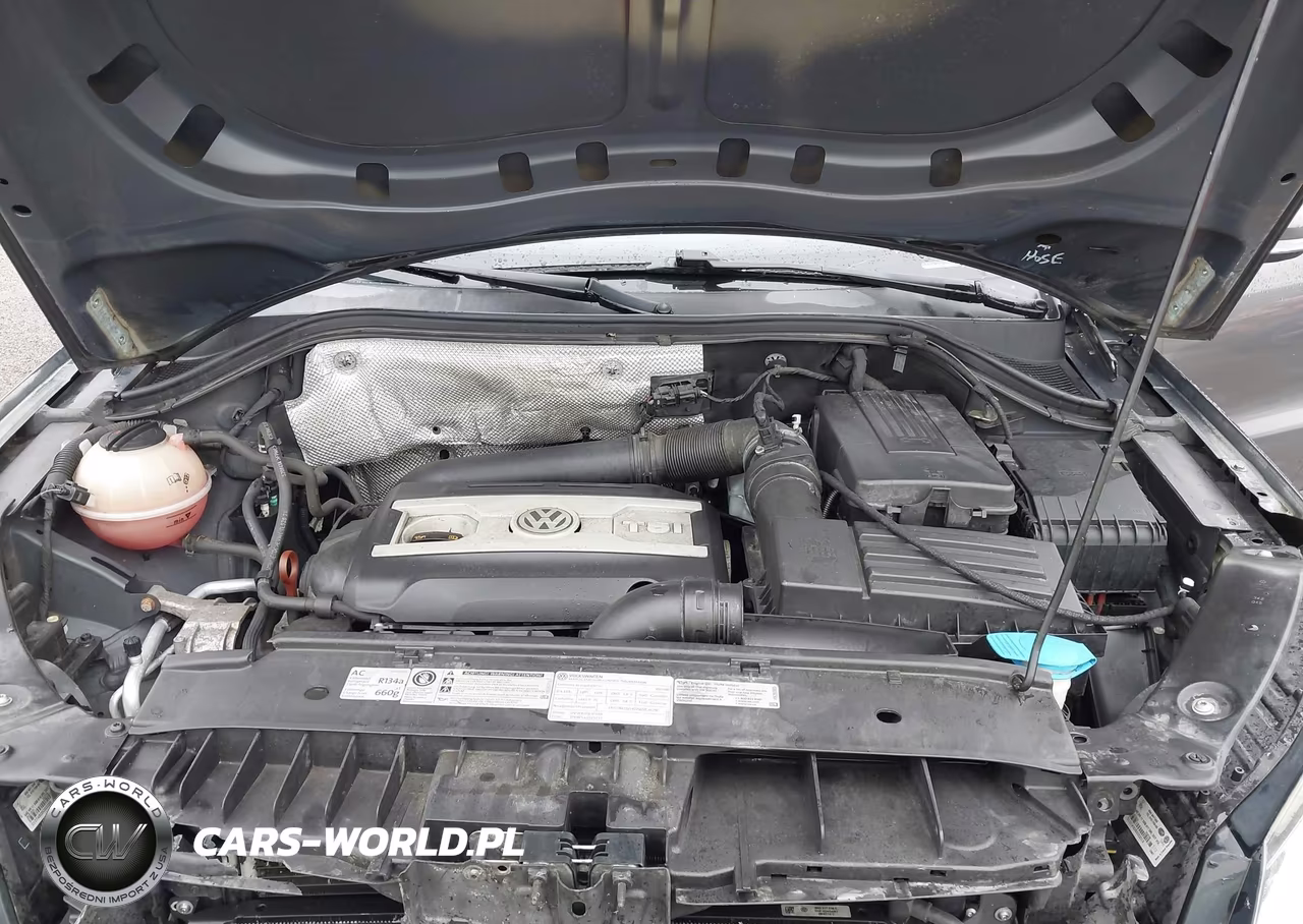2013 Volkswagen Tiguan S VIN:WVGAV7AX8DW534131 - 10