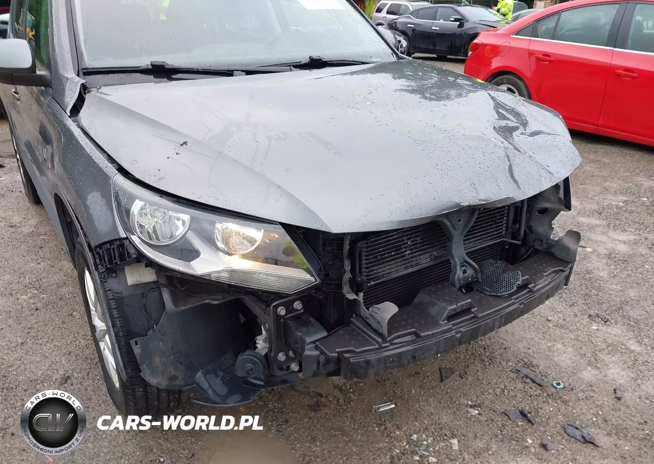 2013 Volkswagen Tiguan S VIN:WVGAV7AX8DW534131 - 18