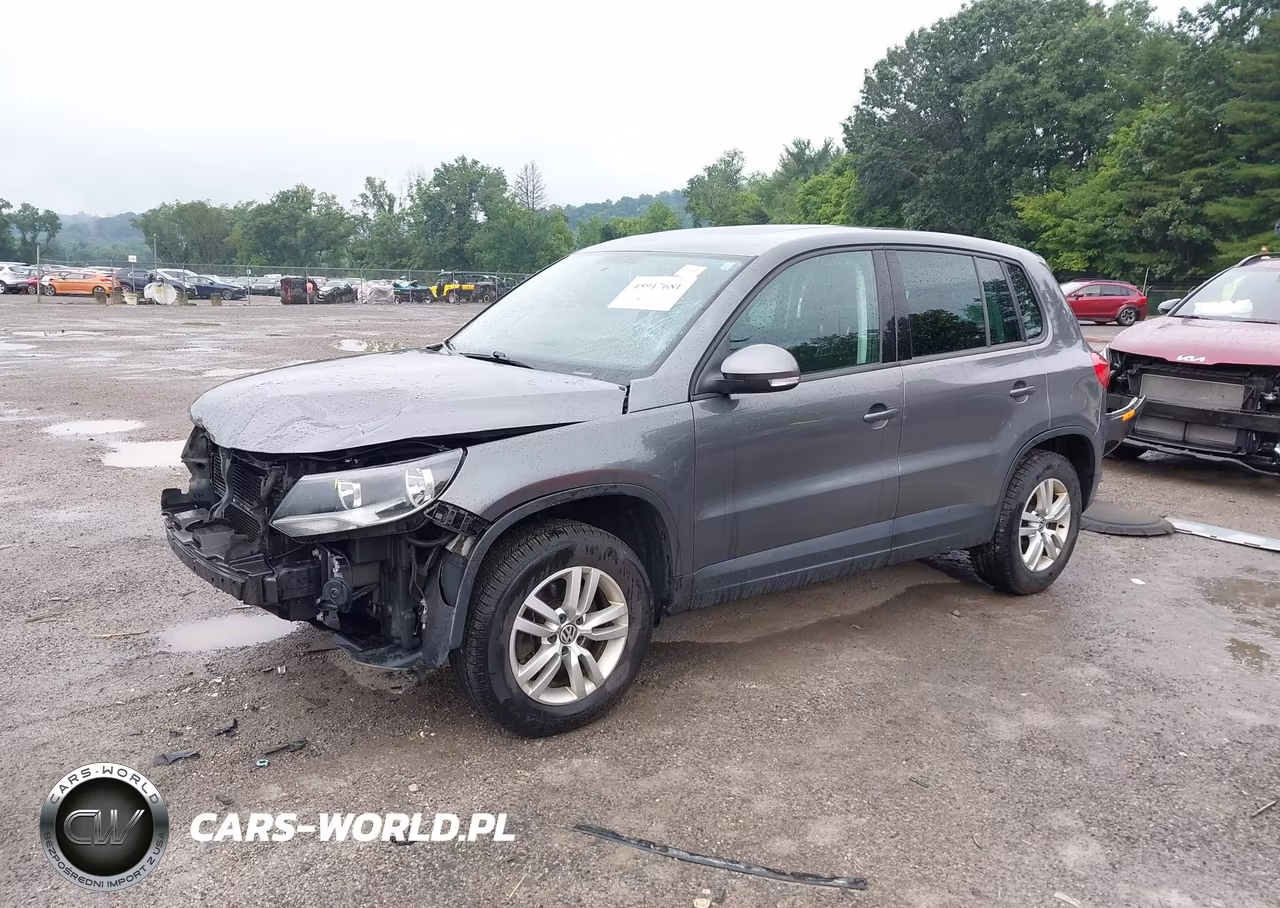2013 Volkswagen Tiguan S VIN:WVGAV7AX8DW534131 - 2