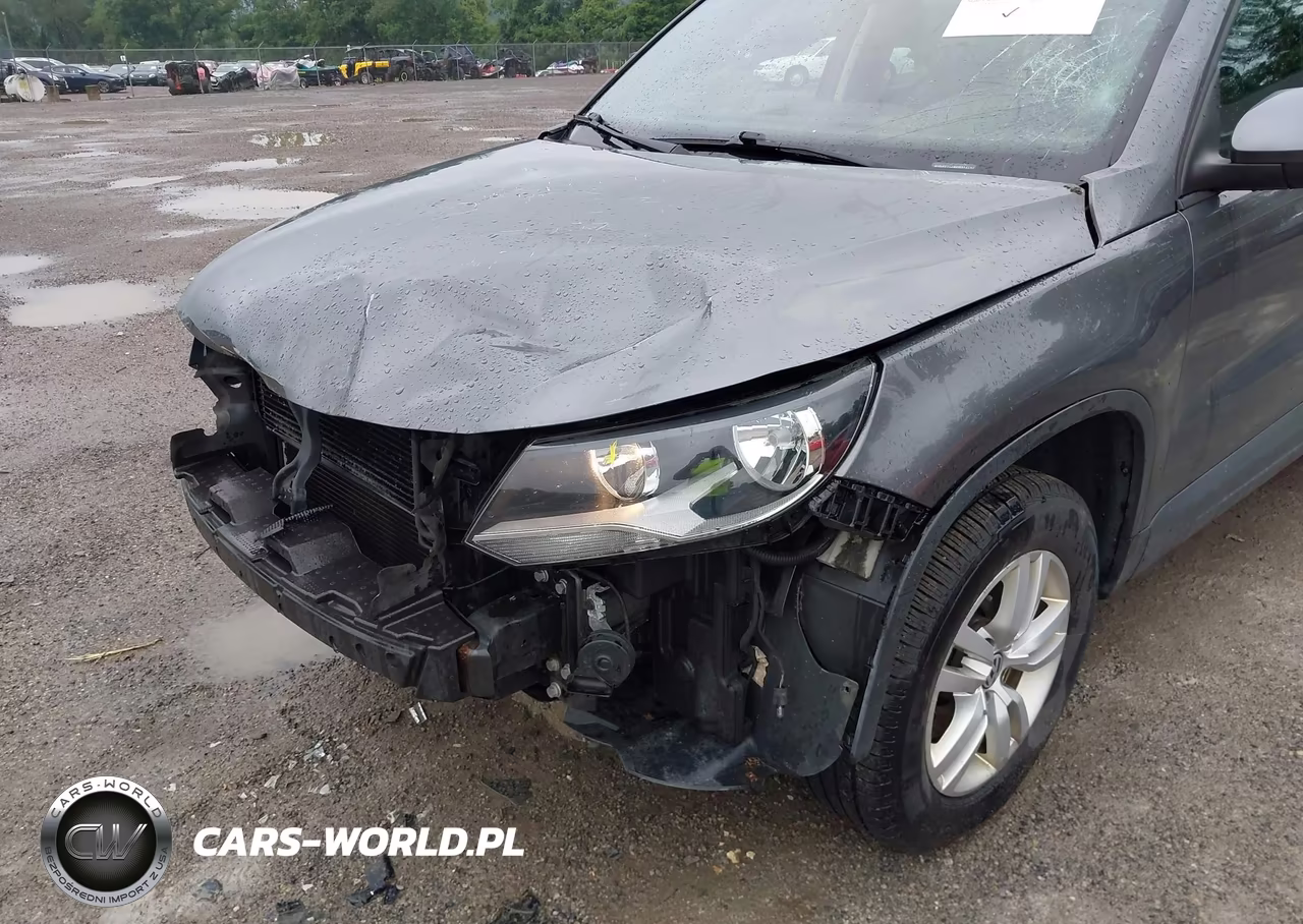 2013 Volkswagen Tiguan S VIN:WVGAV7AX8DW534131 - 6