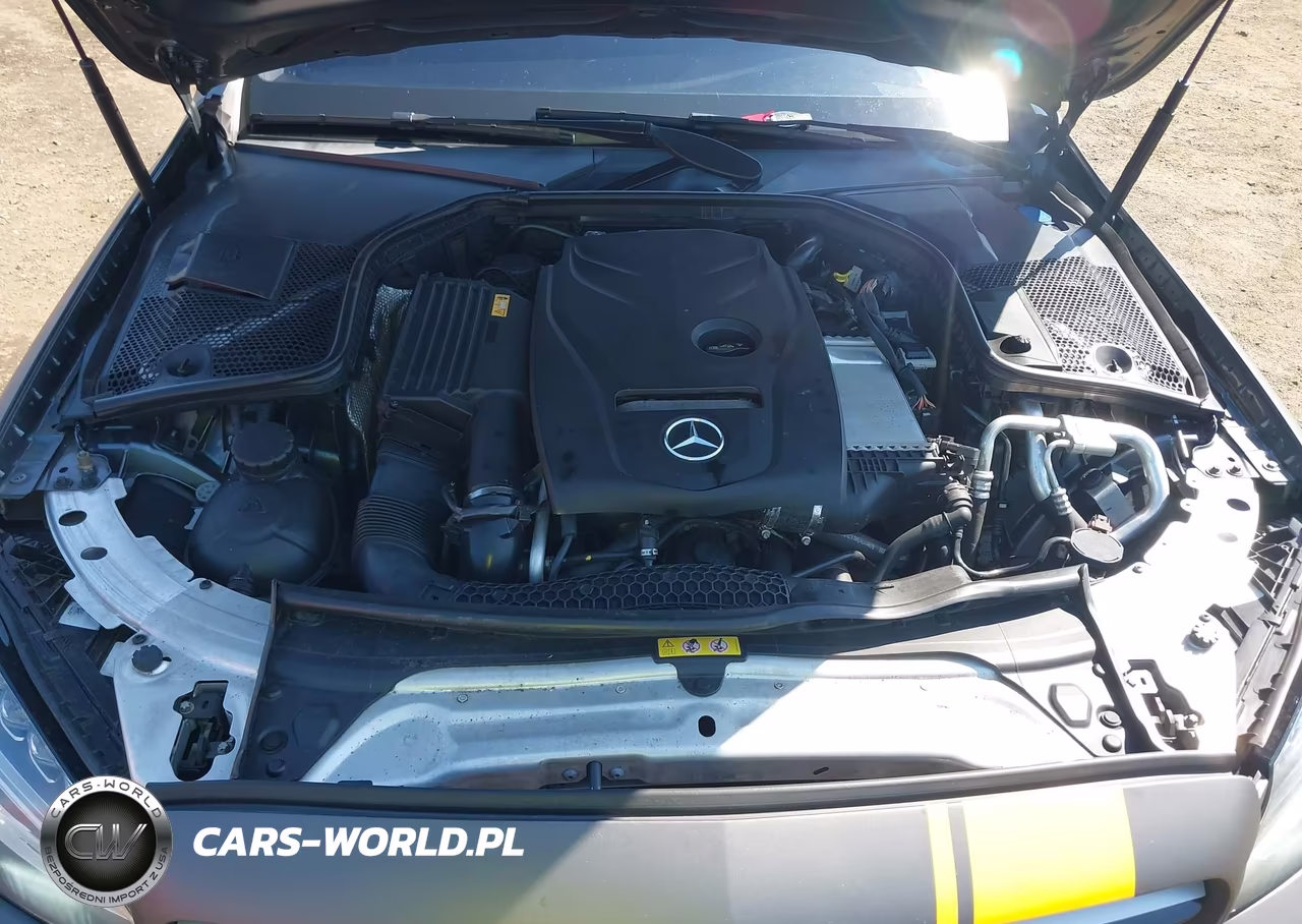 2017 Mercedes-Benz C 300 4Matic VIN:55SWF4KB0HU205764 - 10