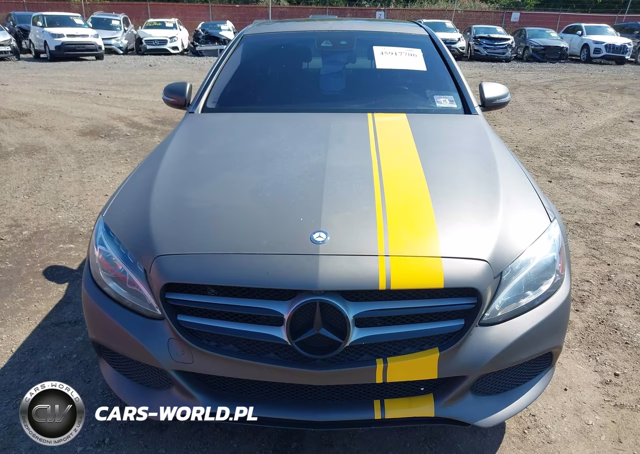 2017 Mercedes-Benz C 300 4Matic VIN:55SWF4KB0HU205764 - 12