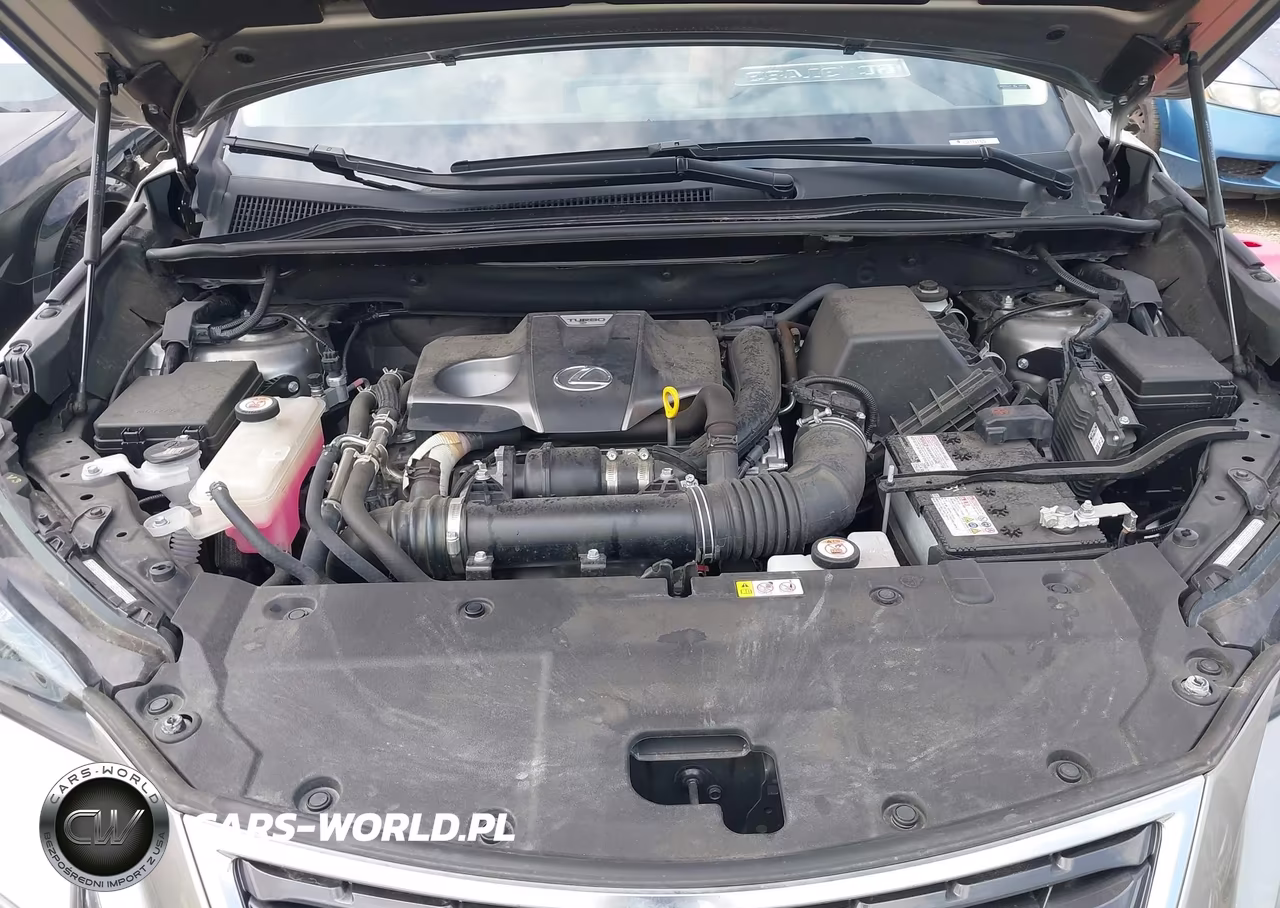 2021 Lexus Nx 300 VIN:JTJGARBZ4M2190534 - 10