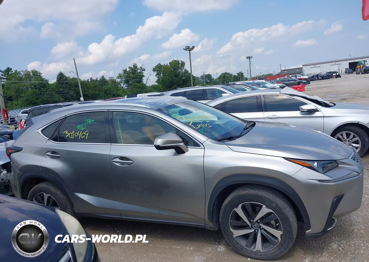 2021 Lexus Nx 300 VIN:JTJGARBZ4M2190534 - 13