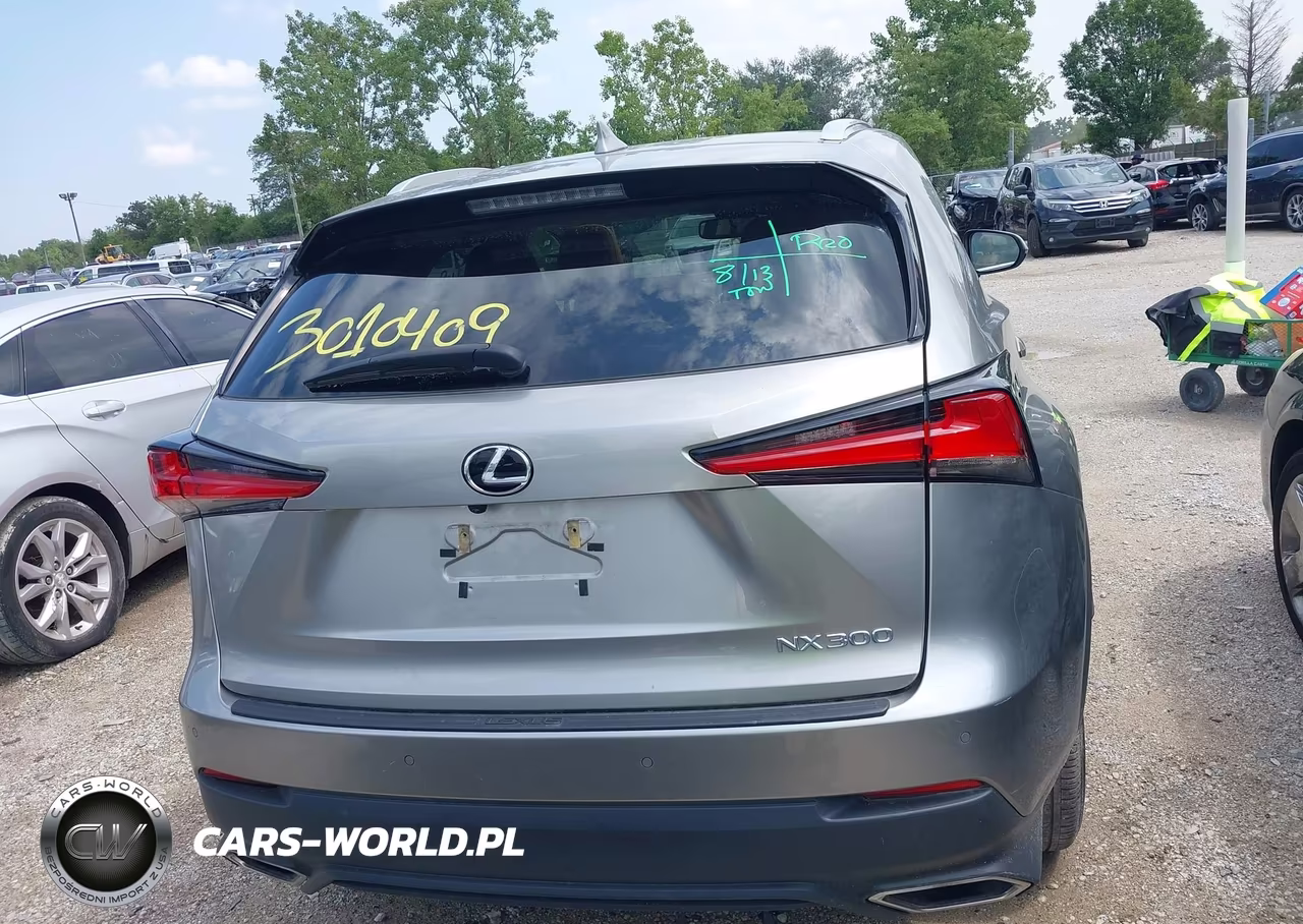 2021 Lexus Nx 300 VIN:JTJGARBZ4M2190534 - 16