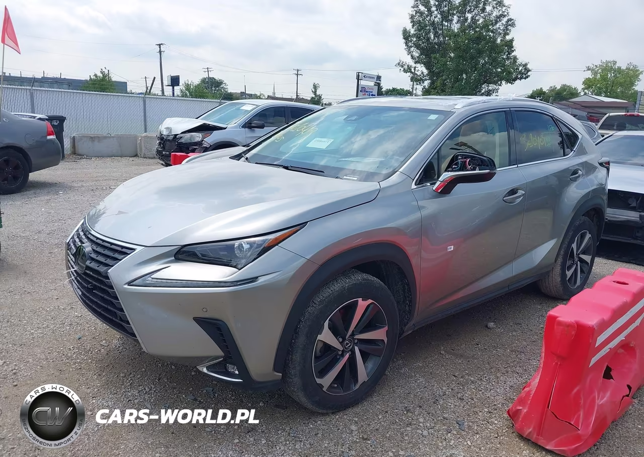 2021 Lexus Nx 300 VIN:JTJGARBZ4M2190534 - 2