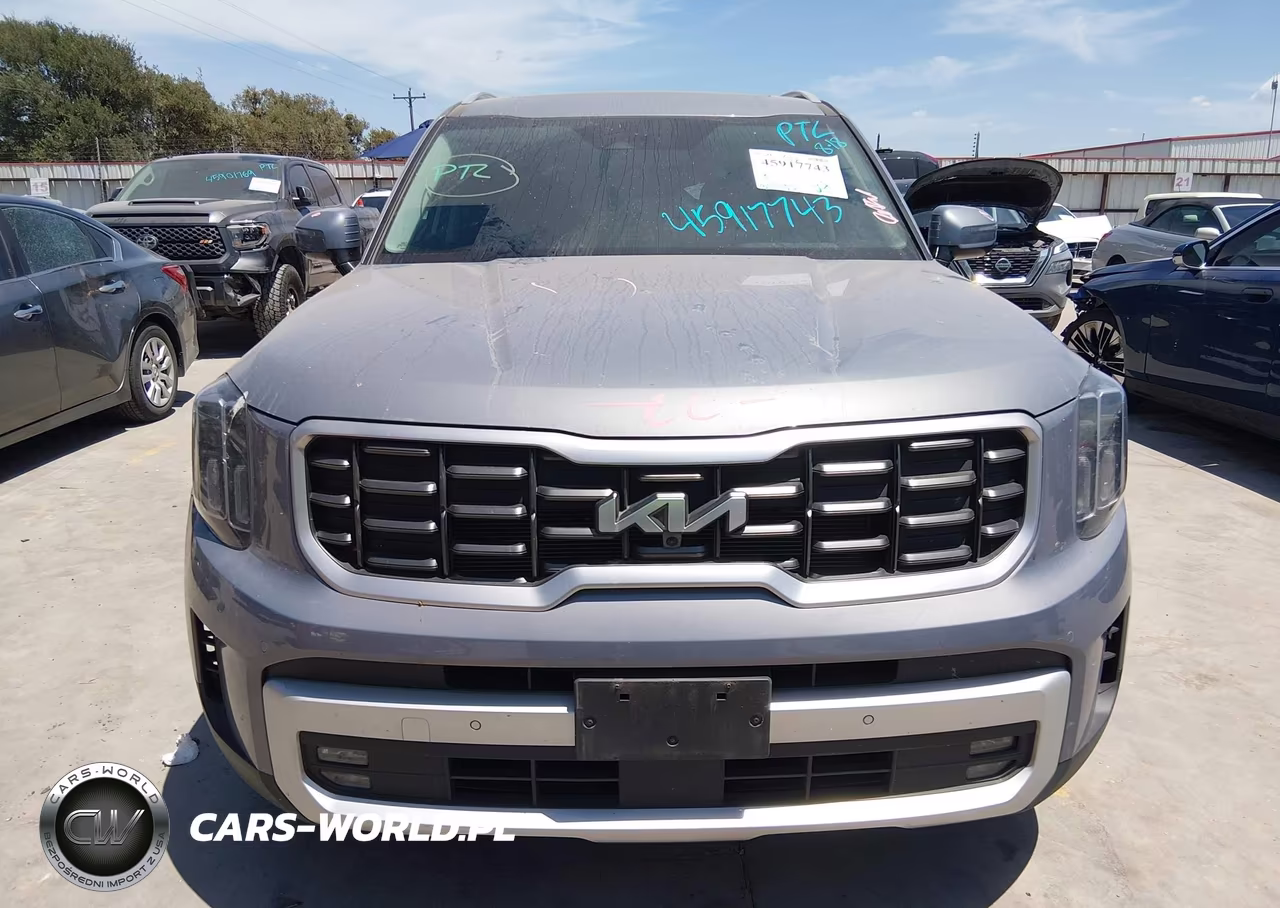 2024 Kia Telluride Sx VIN:5XYP5DGC5RG564001 - 13