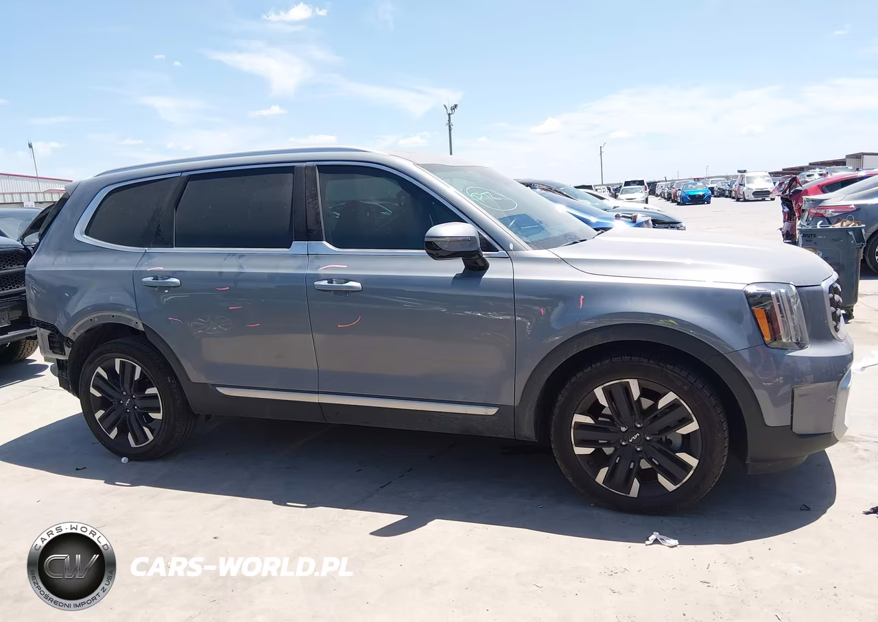 2024 Kia Telluride Sx VIN:5XYP5DGC5RG564001 - 14