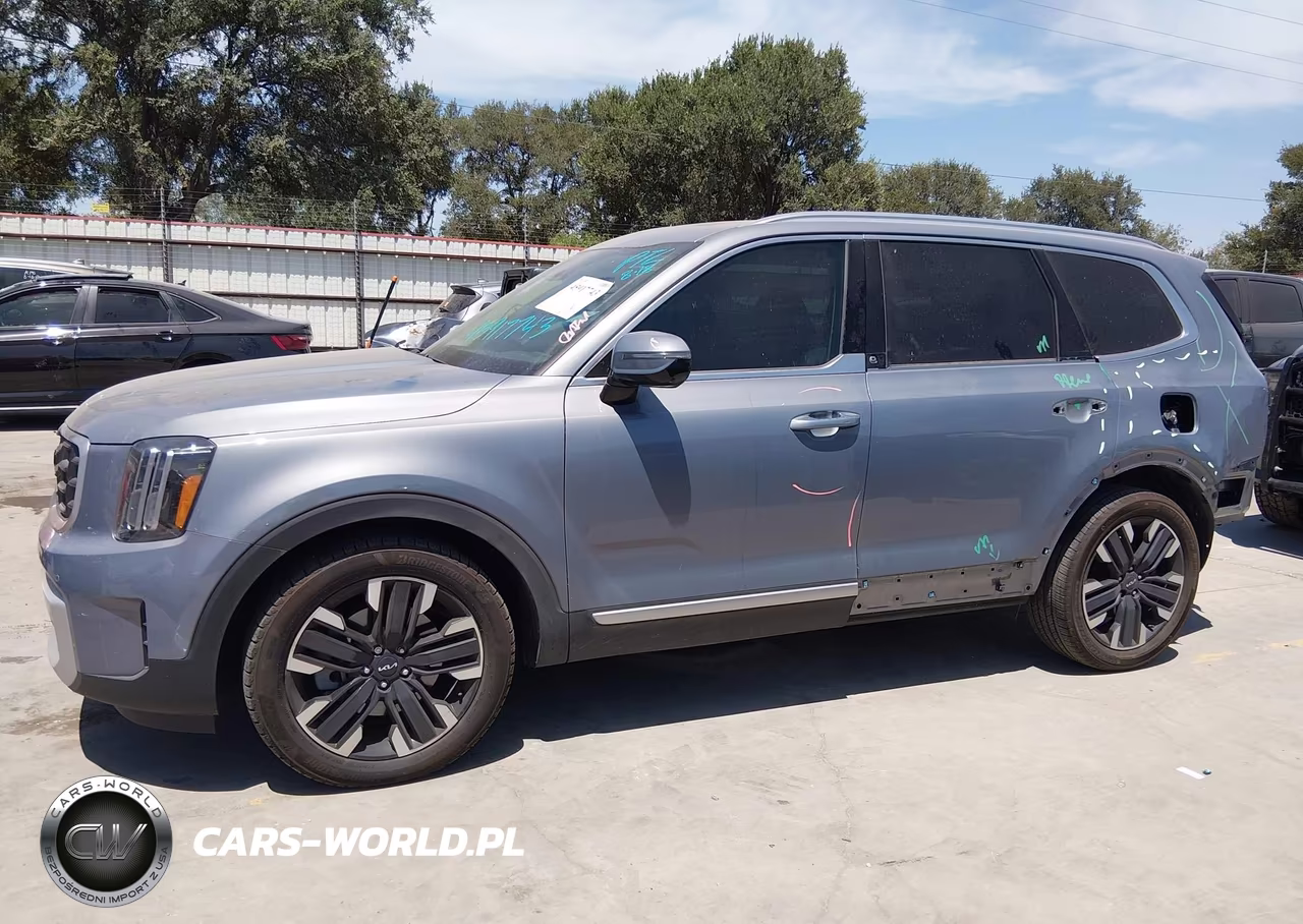 2024 Kia Telluride Sx VIN:5XYP5DGC5RG564001 - 15