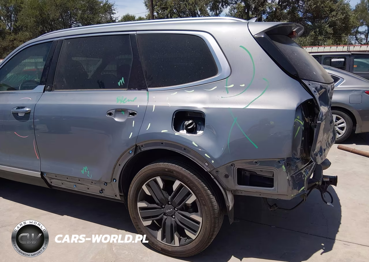 2024 Kia Telluride Sx VIN:5XYP5DGC5RG564001 - 18