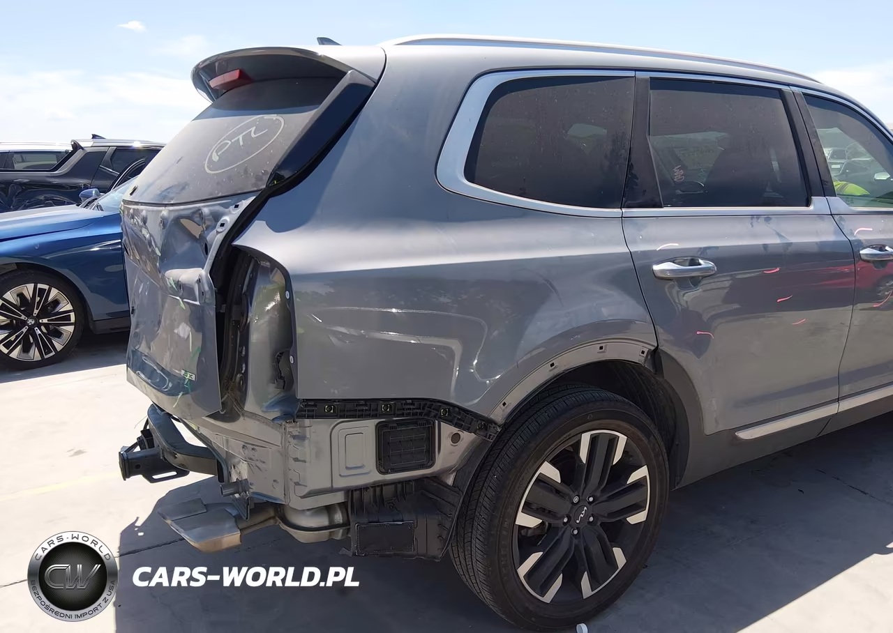 2024 Kia Telluride Sx VIN:5XYP5DGC5RG564001 - 19