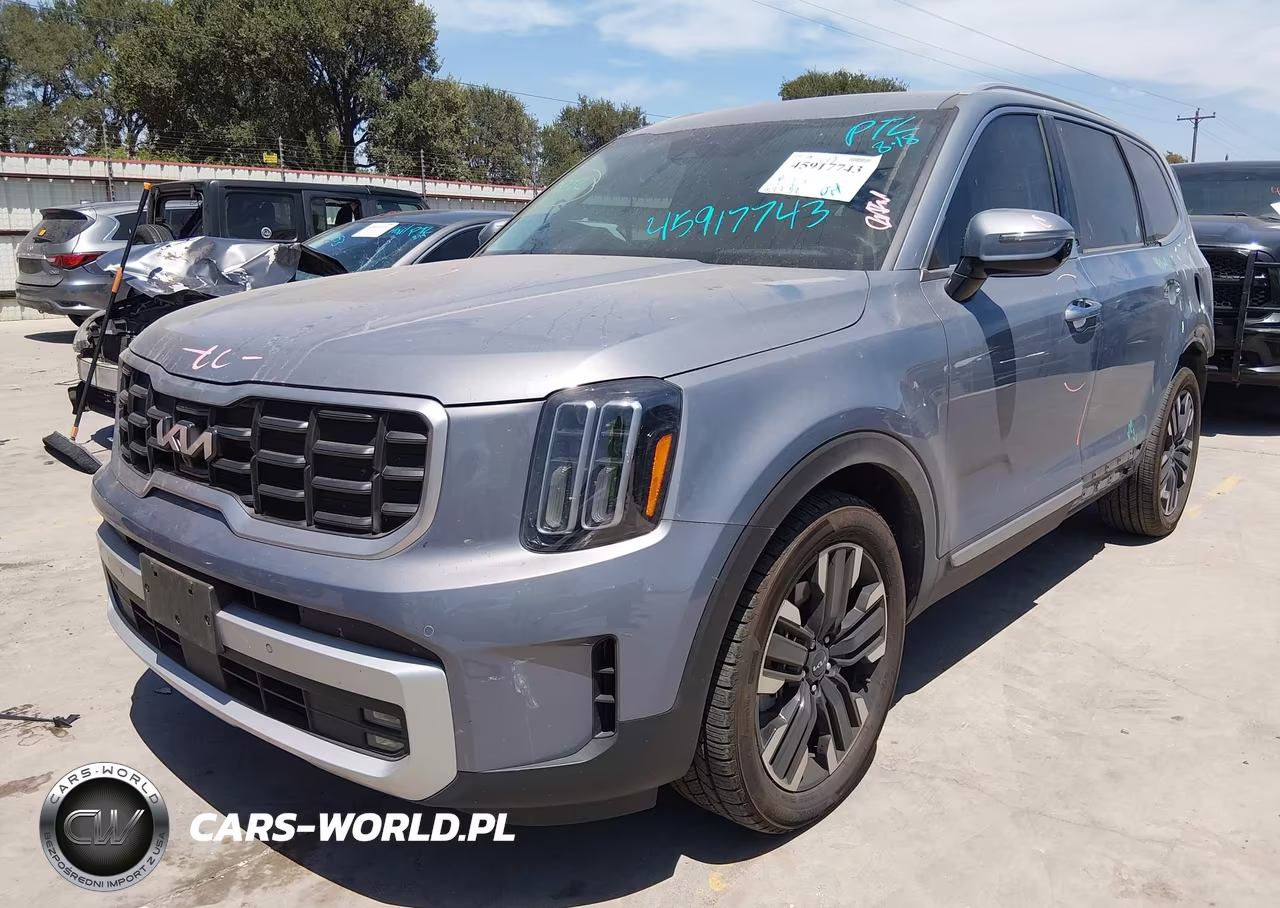 2024 Kia Telluride Sx VIN:5XYP5DGC5RG564001 - 2