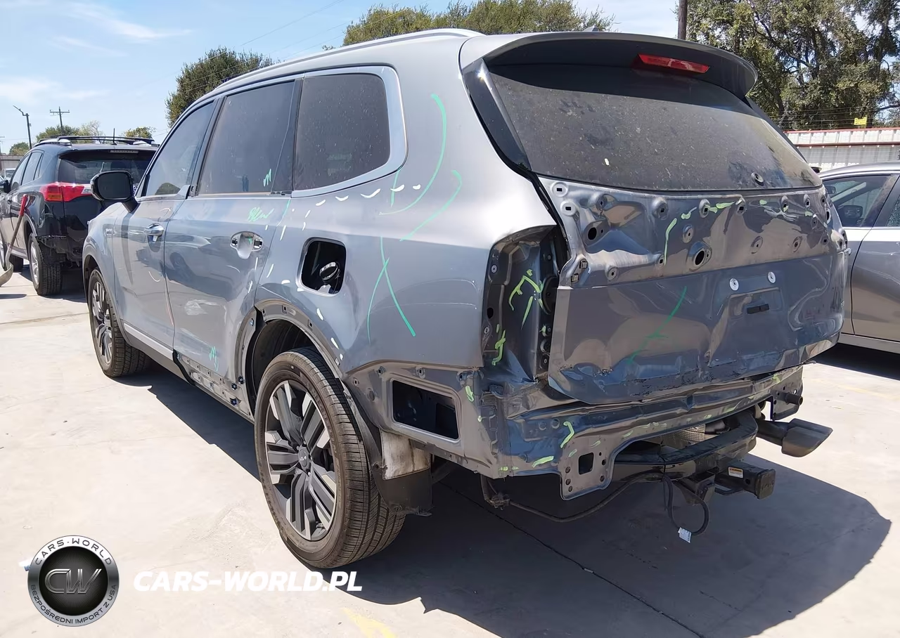 2024 Kia Telluride Sx VIN:5XYP5DGC5RG564001 - 3