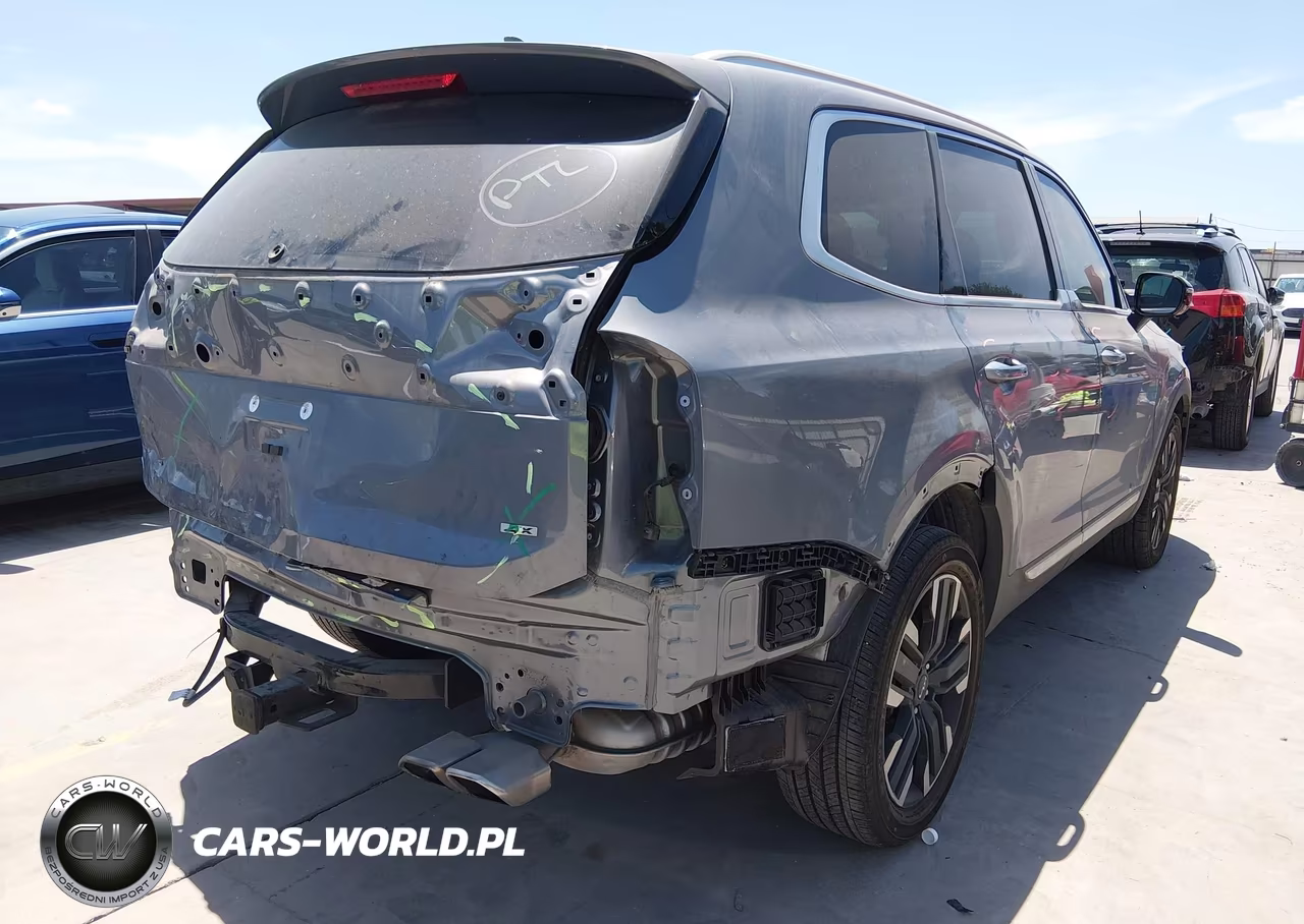 2024 Kia Telluride Sx VIN:5XYP5DGC5RG564001 - 4