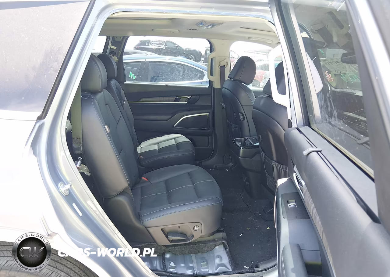 2024 Kia Telluride Sx VIN:5XYP5DGC5RG564001 - 8