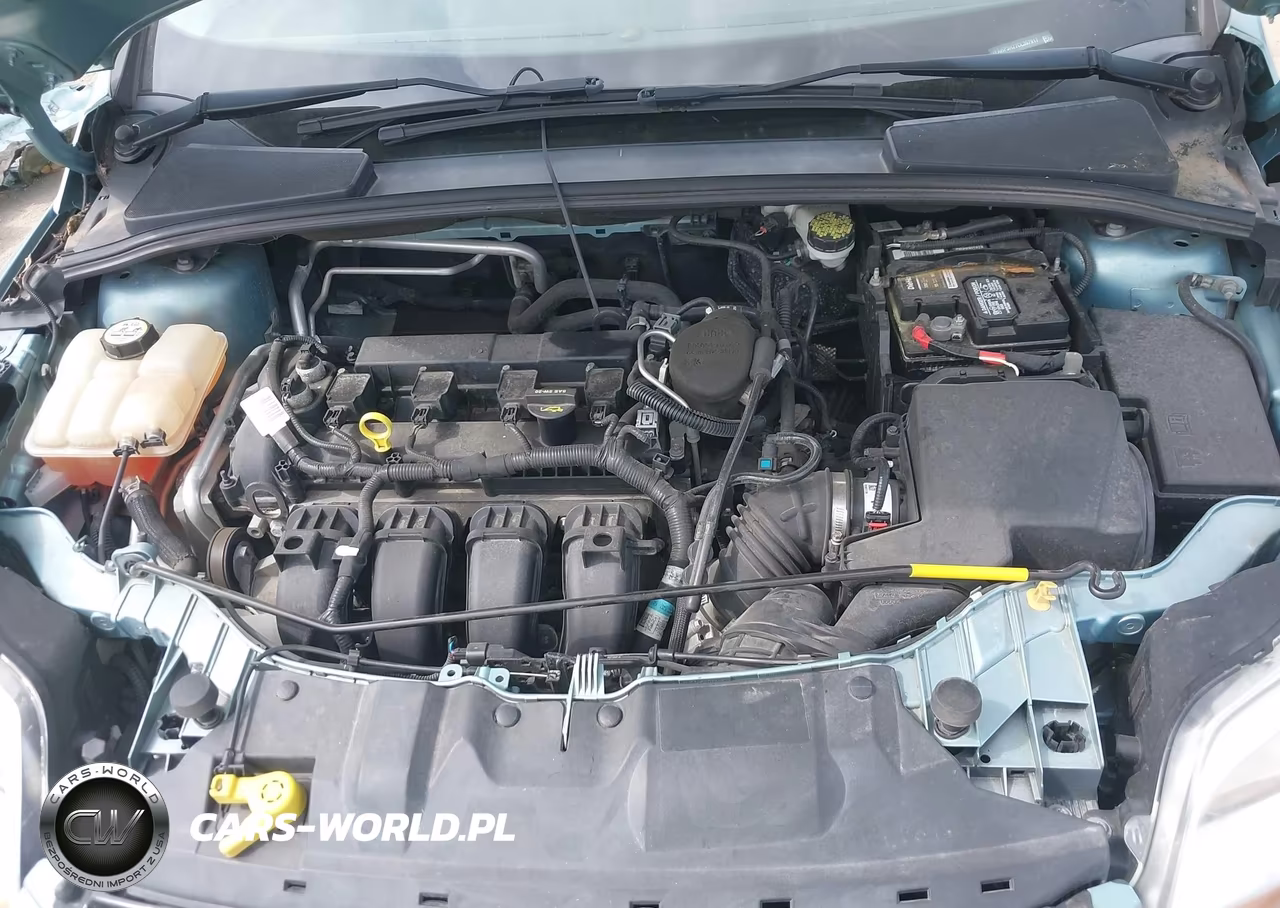 2012 Ford Focus Sel VIN:1FAHP3H27CL357917 - 10