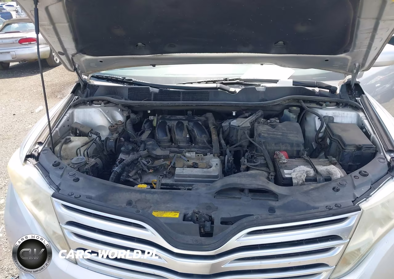 2010 Toyota Venza Base V6 VIN:4T3BK3BB9AU029335 - 10