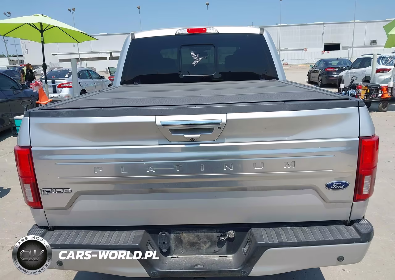 2018 Ford F-150 Platinum VIN:1FTEW1E54JFD42600 - 16