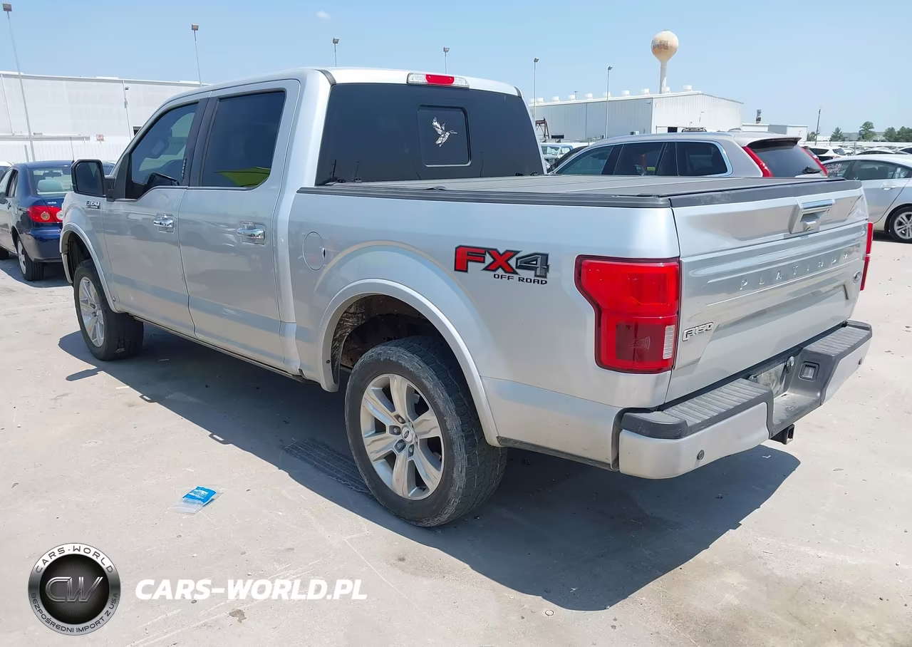 2018 Ford F-150 Platinum VIN:1FTEW1E54JFD42600 - 3