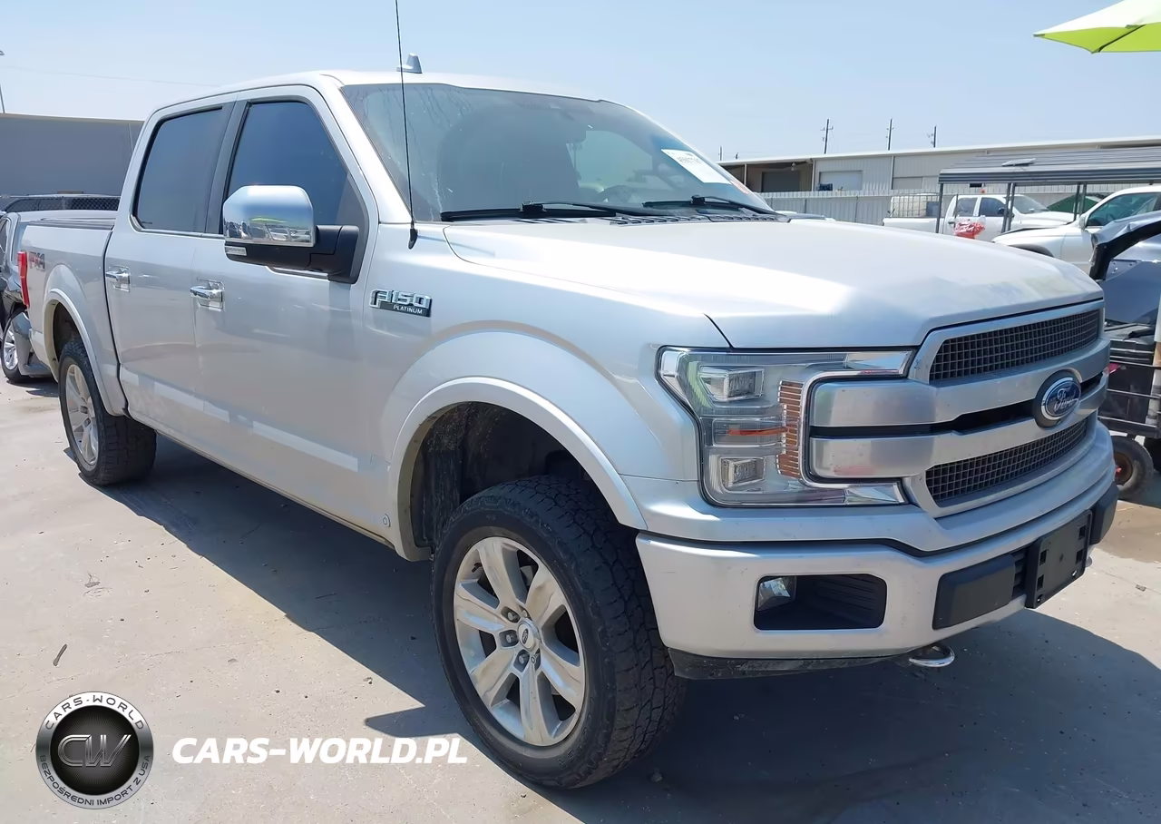 2018 Ford F-150 Platinum VIN:1FTEW1E54JFD42600 - 6